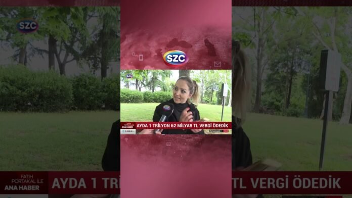 iste-turkiyedeki-agizlari-acik-birakan-vergi-rakamlari-saniyede-271-bin-lira-vergi-shorts-mGLv5n6z.jpg